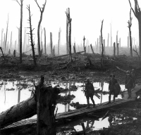 A Rare Boer War & Great War Q.S.A. (6 Bar) & 1915 Trio, Casualty (Battle of Passchendaele) R WARWICK R 